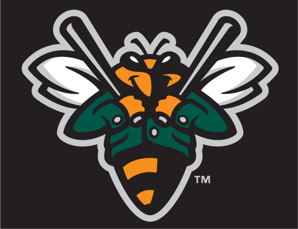 Augusta Greenjackets 2006-Pres Cap Logo v2 iron on transfers for T-shirts